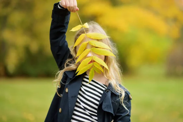 Adorabile Ragazza Che Diverte Nella Bella Giornata Autunnale Bambino Felice — Foto Stock