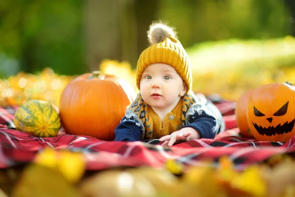 Cute Small Baby Boy Sitting Small Pumpkin Painted Scary Face Royalty Free Stock Photos