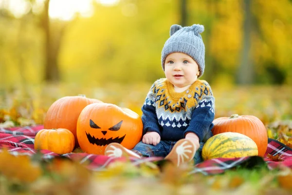 Netter Kleiner Junge Der Einem Sonnigen Herbsttag Neben Einem Kleinen — Stockfoto