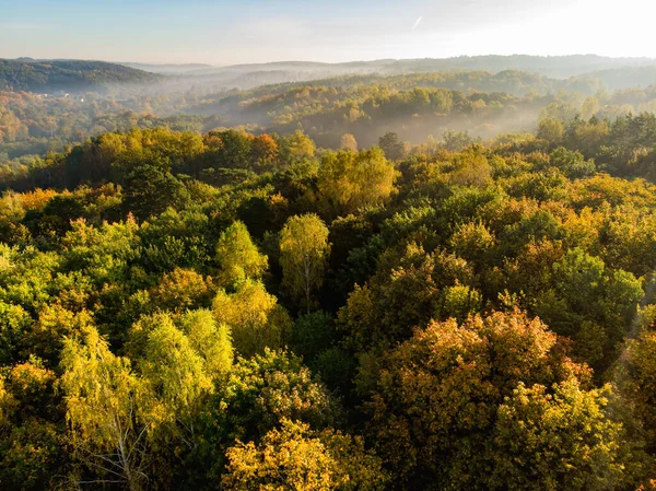 Letecký Pohled Podzimní Les Zelené Žluté Stromy Smíšeného Listnatého Jehličnatého — Stock fotografie