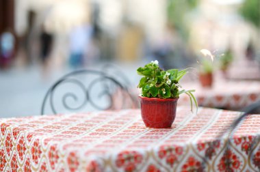 Vilnius Açık Restoran