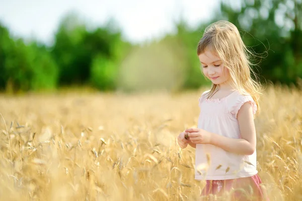 Mädchen im Weizenfeld — Stockfoto