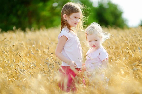 Сестры на пшеничном поле — стоковое фото