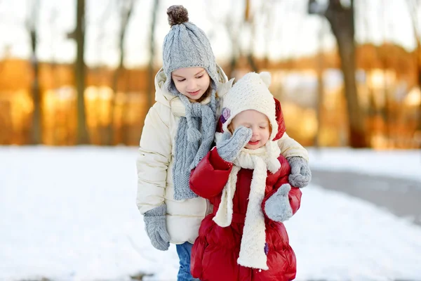 Soeurs sur une journée d'hiver enneigée — Photo