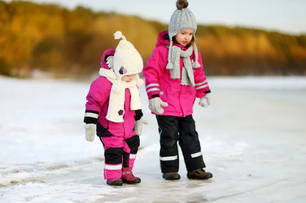 Sestry na zasněžené zimní den — Stock fotografie