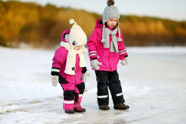 Sisters on snowy winter day — Stock Fotó