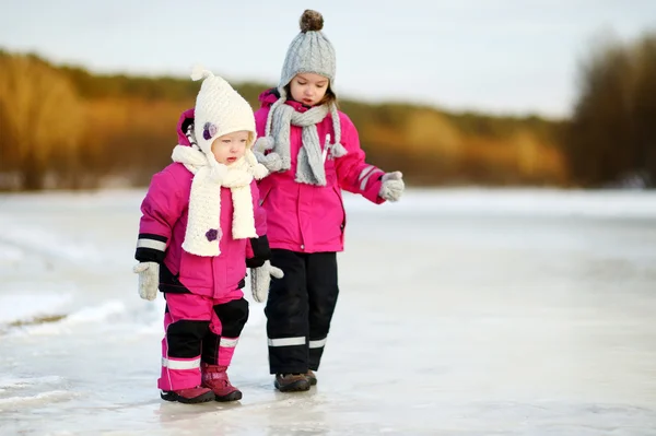 Soeurs sur une journée d'hiver enneigée — Photo