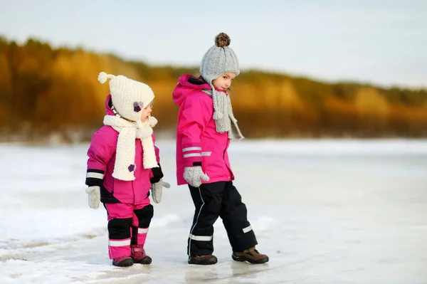 Systrar på snöig vinterdag — Stockfoto