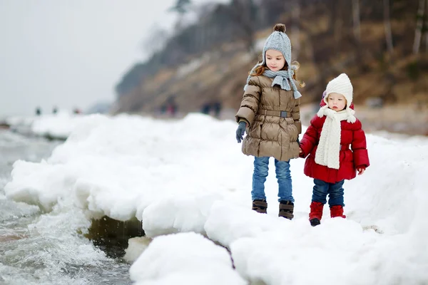 Zusters op besneeuwde winterdag — Stockfoto