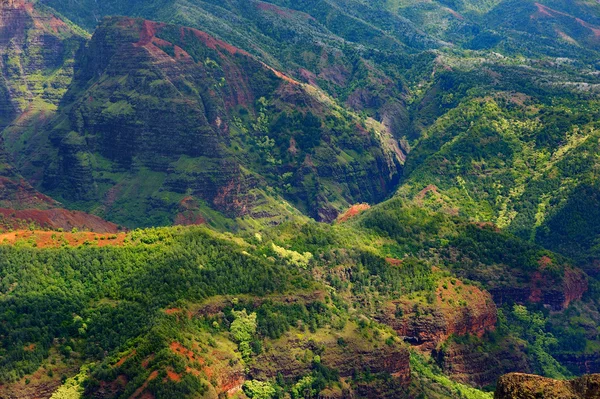 Waimea Canyon vista aérea — Fotografia de Stock