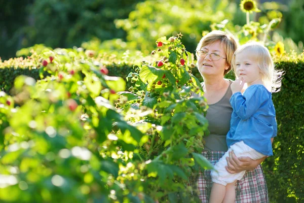 Grandmother and girl with raspberries — Stock Photo, Image