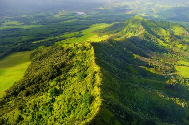 Muhteşem Kauai ormanlarda