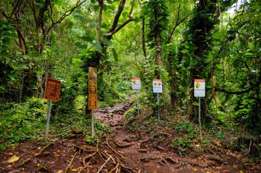 Kalalau iz görünümü