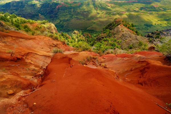 Vue sur le canyon de Waimea — Photo