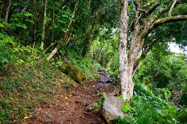 Kalalau trail megtekintése — Stock Fotó