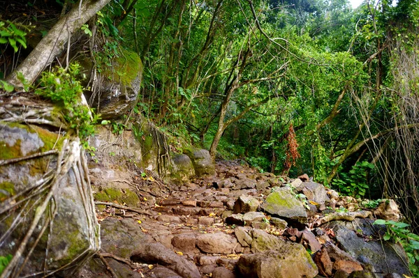 Kalalau vista trilha — Fotografia de Stock