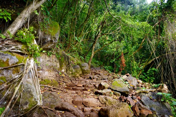 Kalalau vue sur le sentier — Photo