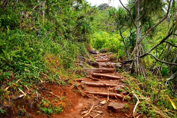 Kalalau стежка подання — стокове фото