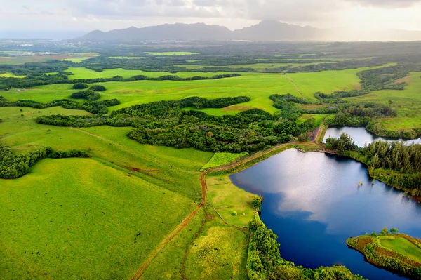 Selvas Kauai espetaculares — Fotografia de Stock