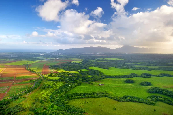 Spectacular Kauai jungles — Stock Photo, Image