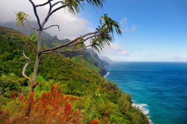 Kalalau iz Kauai