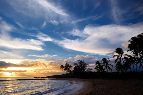 Zonsopgang met palmbomen in Hawaï — Stockfoto