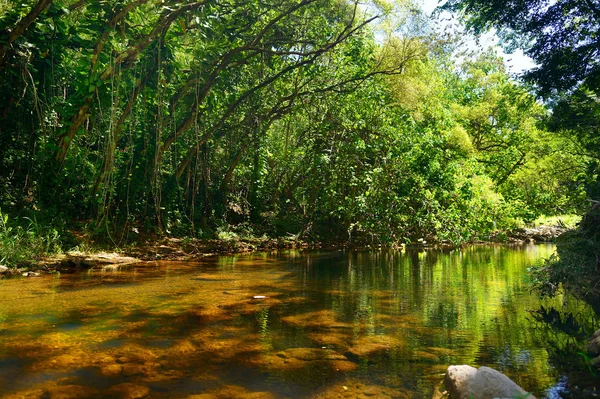 Waimea Valley güzel nehir — Stok fotoğraf