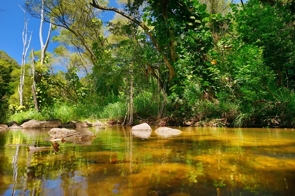 Vackra floden i Waimea dalen — Stockfoto