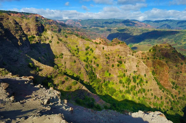 Waimea canyon i hawaii — Stockfoto