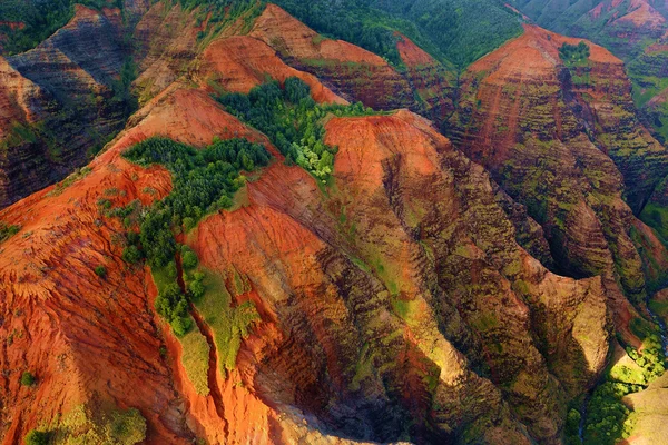 Waimea Canyon Havaijilla — kuvapankkivalokuva