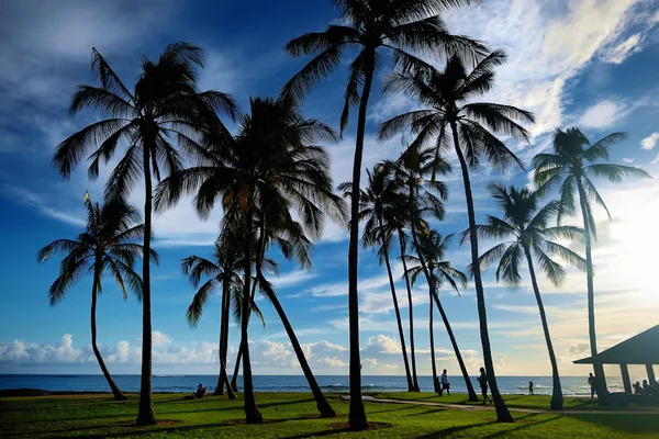 Salida del sol con palmeras en Hawaii — Foto de Stock