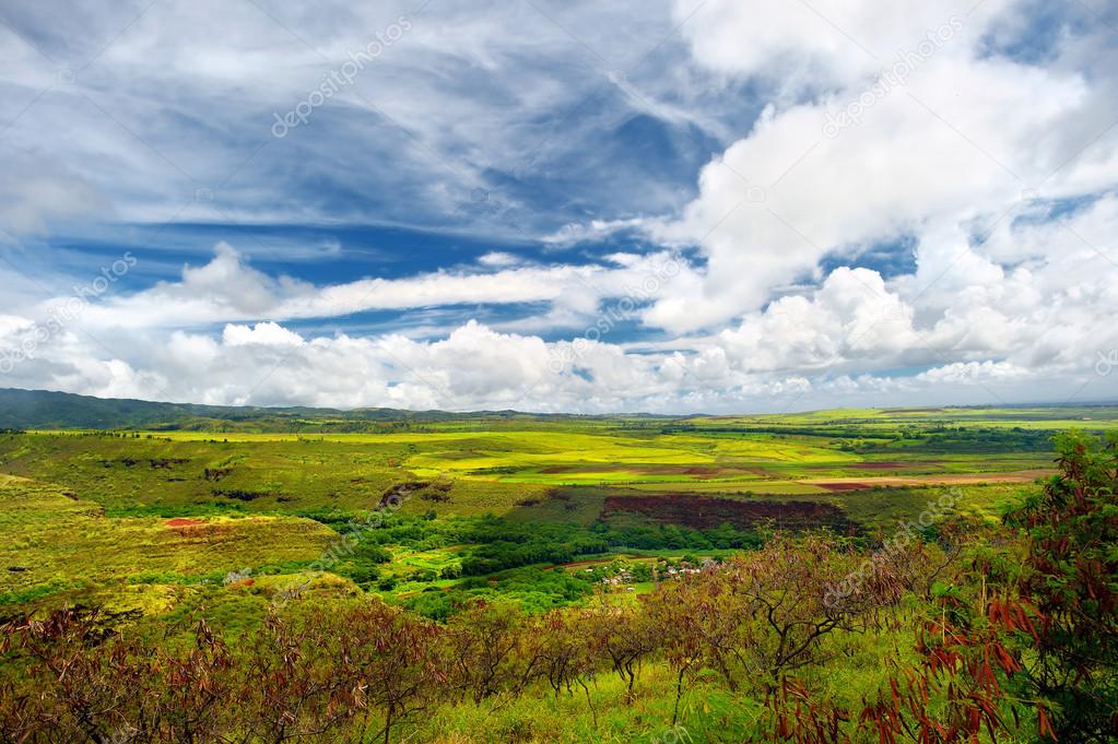 Green jungles in Hawaii