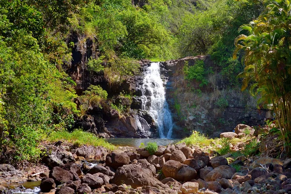 Beautiful tropical waterfall