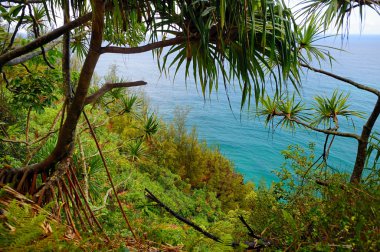 Kalalau iz Kauai