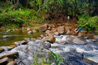 Hawaii küçük tropik Nehri