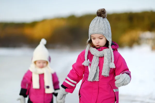 Kleine zusters op besneeuwde winterdag — Stockfoto