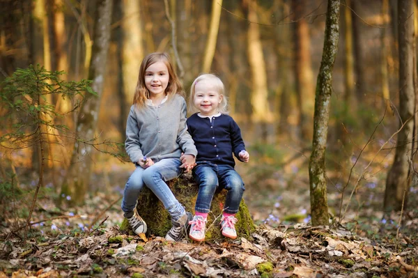 Little sisters i skogen — Stockfoto