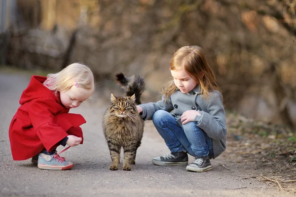 Lilla systrar med katt — Stockfoto