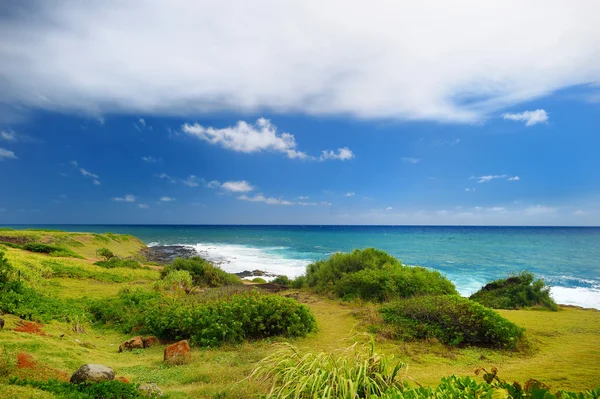 Paysage de l'île de Kauai — Photo