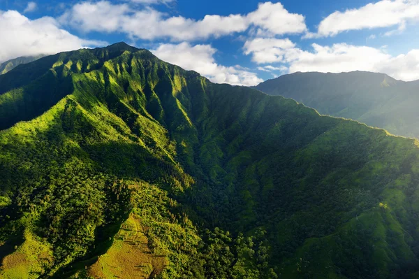 Green jungles in Hawaii — Stock Photo, Image