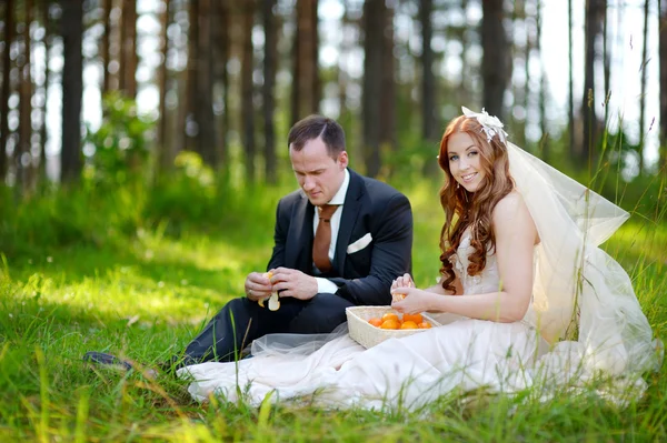 Unga bruden och brudgummen sitter på en gräs — Stockfoto