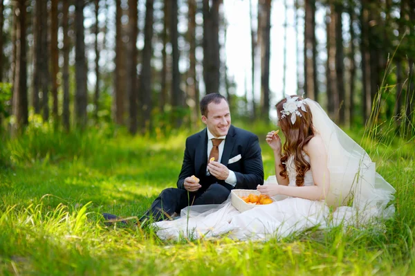 年轻的新娘和新郎坐在草地上 — 图库照片