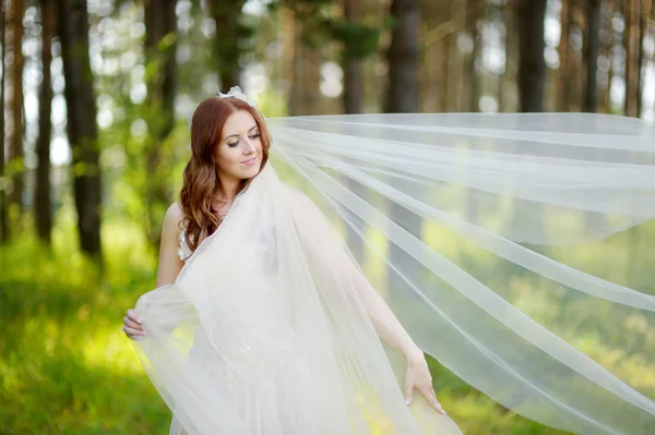 Невеста позирует в летнем парке — стоковое фото