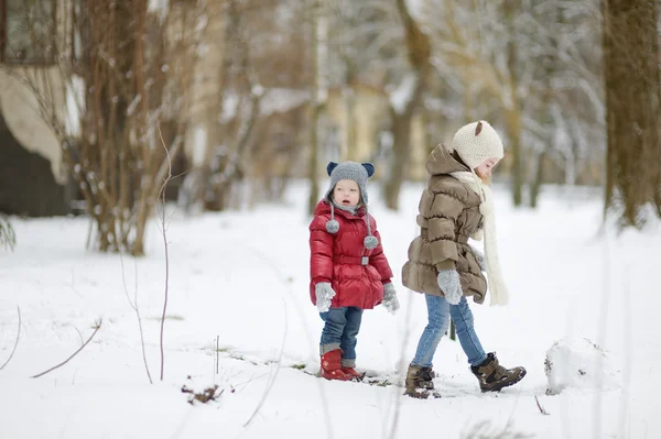 Kleine zusters op winterdag — Stockfoto