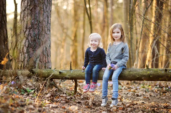Little sisters in forest — Stock Photo, Image