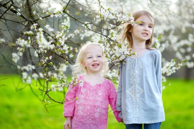 Little sisters çiçek açan bahçesinde