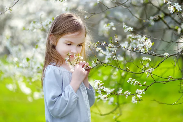 Liten flicka i blommande cherry garden — Stockfoto