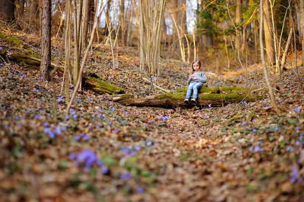 Petite fille dans la forêt — Photo