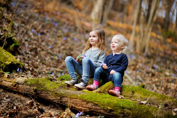 Little sisters i skogen — Stockfoto