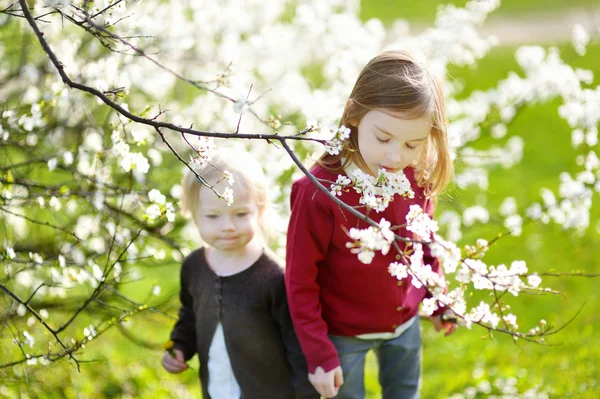 Little sisters i blommande trädgård — Stockfoto